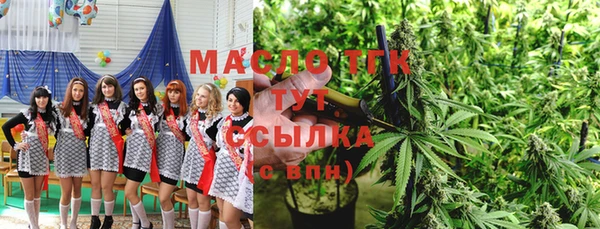 apvp Бородино