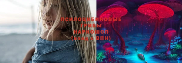 apvp Бородино