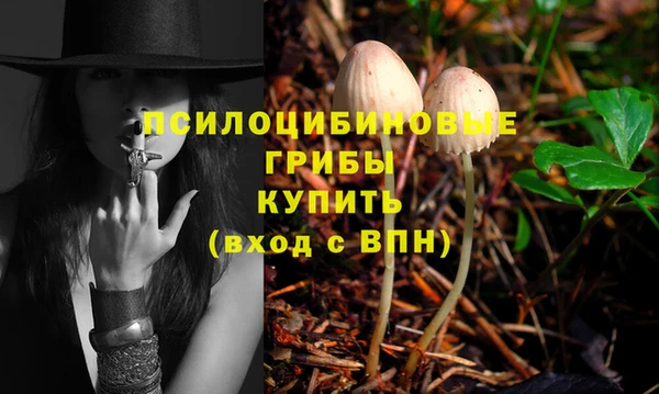 гашик Бугульма
