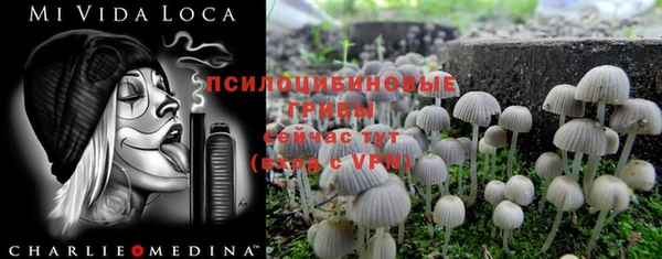 spice Бронницы