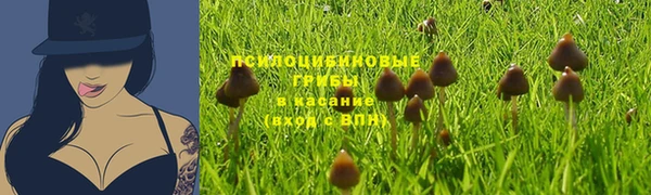 гашик Бугульма