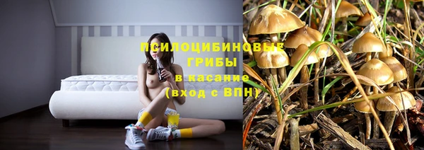spice Бронницы