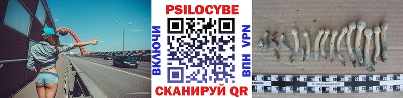 Псилоцибиновые грибы прущие грибы  Калуга 